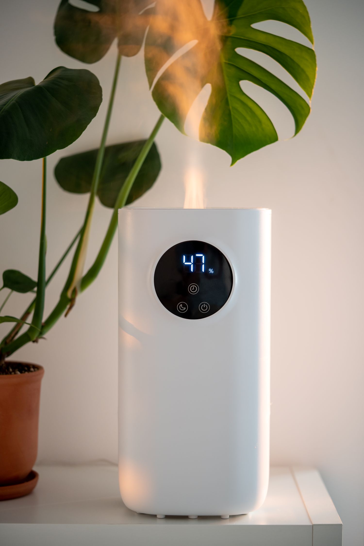 humidity control
